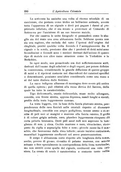 L'agricoltura coloniale organo dell'Istituto agricolo coloniale italiano e dell'Ufficio agrario sperimentale dell'Eritrea