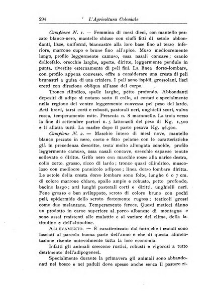 L'agricoltura coloniale organo dell'Istituto agricolo coloniale italiano e dell'Ufficio agrario sperimentale dell'Eritrea