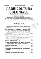 giornale/TO00199161/1919/unico/00000325