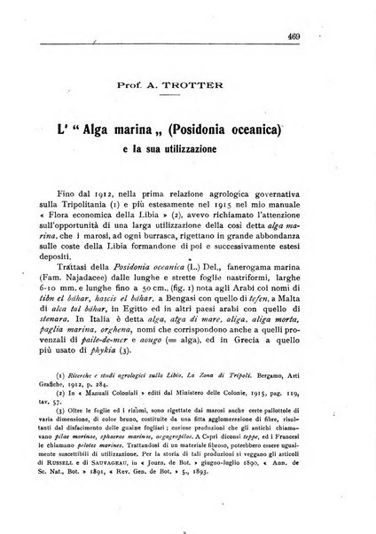 L'agricoltura coloniale organo dell'Istituto agricolo coloniale italiano e dell'Ufficio agrario sperimentale dell'Eritrea