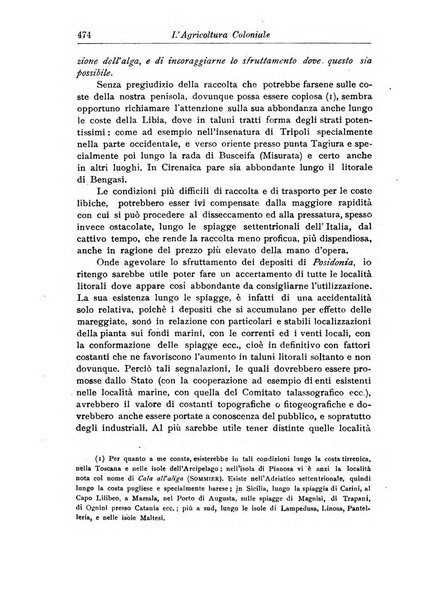 L'agricoltura coloniale organo dell'Istituto agricolo coloniale italiano e dell'Ufficio agrario sperimentale dell'Eritrea