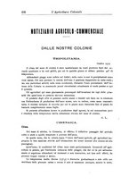 giornale/TO00199161/1919/unico/00000504