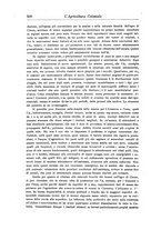 giornale/TO00199161/1919/unico/00000520