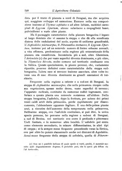 L'agricoltura coloniale organo dell'Istituto agricolo coloniale italiano e dell'Ufficio agrario sperimentale dell'Eritrea