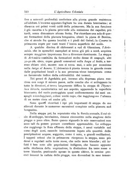 L'agricoltura coloniale organo dell'Istituto agricolo coloniale italiano e dell'Ufficio agrario sperimentale dell'Eritrea