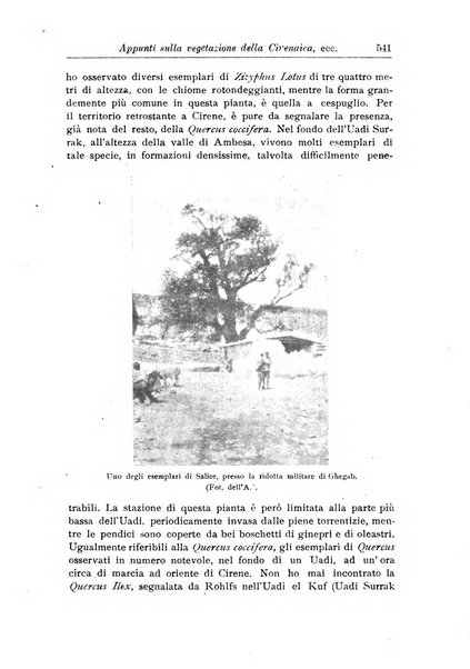 L'agricoltura coloniale organo dell'Istituto agricolo coloniale italiano e dell'Ufficio agrario sperimentale dell'Eritrea