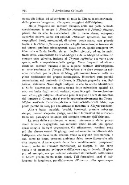 L'agricoltura coloniale organo dell'Istituto agricolo coloniale italiano e dell'Ufficio agrario sperimentale dell'Eritrea