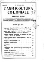 giornale/TO00199161/1920/unico/00000005