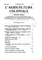giornale/TO00199161/1920/unico/00000015