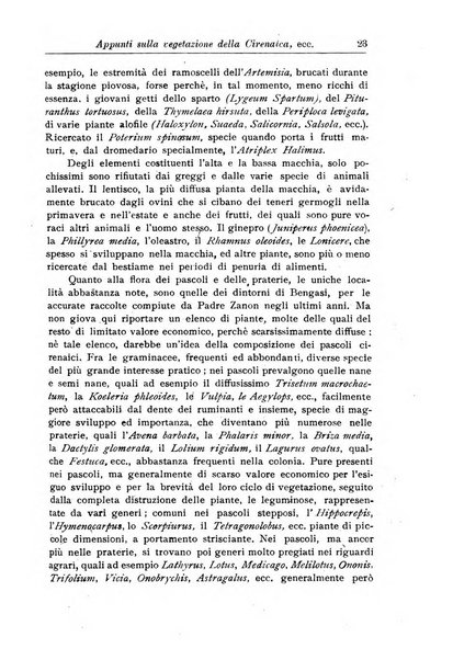 L'agricoltura coloniale organo dell'Istituto agricolo coloniale italiano e dell'Ufficio agrario sperimentale dell'Eritrea