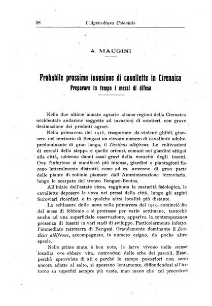 L'agricoltura coloniale organo dell'Istituto agricolo coloniale italiano e dell'Ufficio agrario sperimentale dell'Eritrea