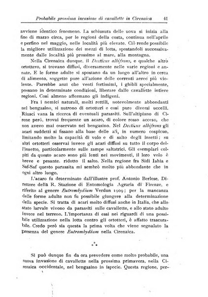 L'agricoltura coloniale organo dell'Istituto agricolo coloniale italiano e dell'Ufficio agrario sperimentale dell'Eritrea