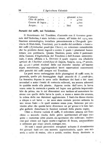 L'agricoltura coloniale organo dell'Istituto agricolo coloniale italiano e dell'Ufficio agrario sperimentale dell'Eritrea