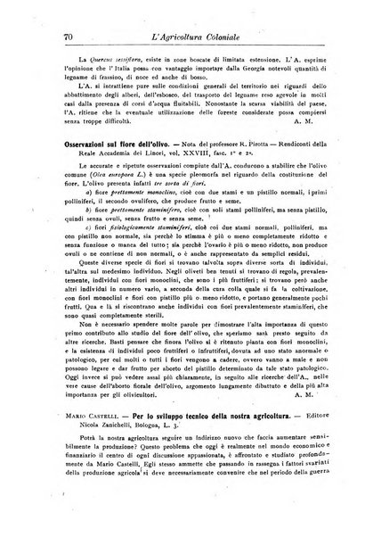 L'agricoltura coloniale organo dell'Istituto agricolo coloniale italiano e dell'Ufficio agrario sperimentale dell'Eritrea