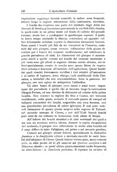 L'agricoltura coloniale organo dell'Istituto agricolo coloniale italiano e dell'Ufficio agrario sperimentale dell'Eritrea