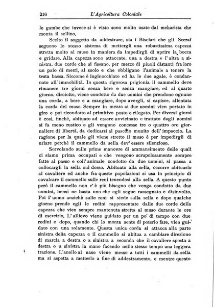 L'agricoltura coloniale organo dell'Istituto agricolo coloniale italiano e dell'Ufficio agrario sperimentale dell'Eritrea