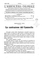 giornale/TO00199161/1920/unico/00000333