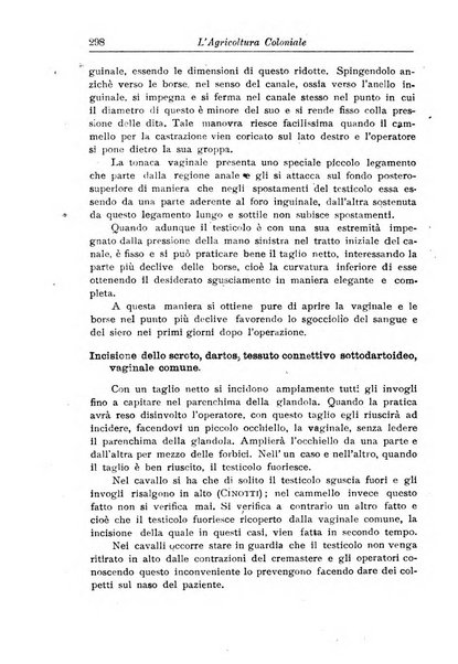 L'agricoltura coloniale organo dell'Istituto agricolo coloniale italiano e dell'Ufficio agrario sperimentale dell'Eritrea