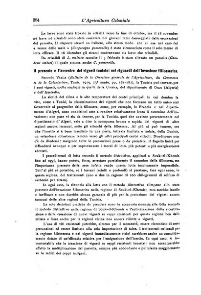 L'agricoltura coloniale organo dell'Istituto agricolo coloniale italiano e dell'Ufficio agrario sperimentale dell'Eritrea