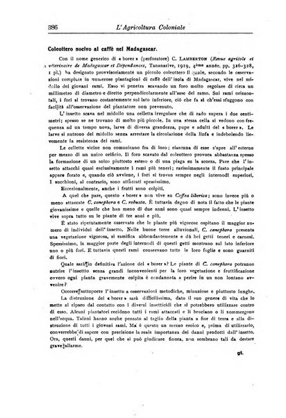 L'agricoltura coloniale organo dell'Istituto agricolo coloniale italiano e dell'Ufficio agrario sperimentale dell'Eritrea