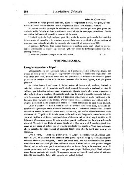 L'agricoltura coloniale organo dell'Istituto agricolo coloniale italiano e dell'Ufficio agrario sperimentale dell'Eritrea