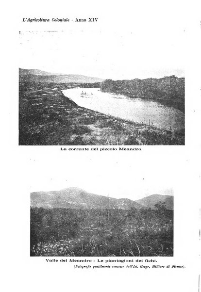 L'agricoltura coloniale organo dell'Istituto agricolo coloniale italiano e dell'Ufficio agrario sperimentale dell'Eritrea