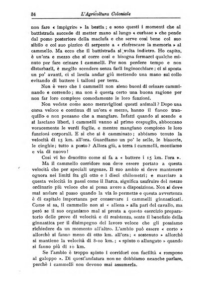 L'agricoltura coloniale organo dell'Istituto agricolo coloniale italiano e dell'Ufficio agrario sperimentale dell'Eritrea