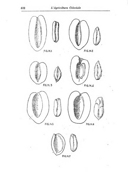 L'agricoltura coloniale organo dell'Istituto agricolo coloniale italiano e dell'Ufficio agrario sperimentale dell'Eritrea