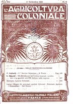 giornale/TO00199161/1921/unico/00000501