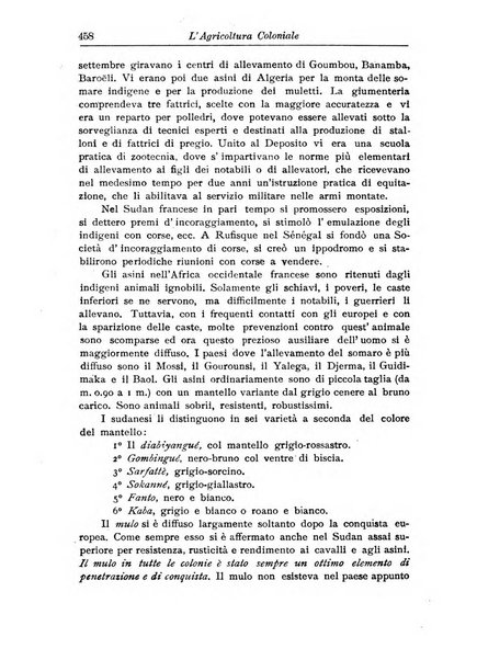 L'agricoltura coloniale organo dell'Istituto agricolo coloniale italiano e dell'Ufficio agrario sperimentale dell'Eritrea