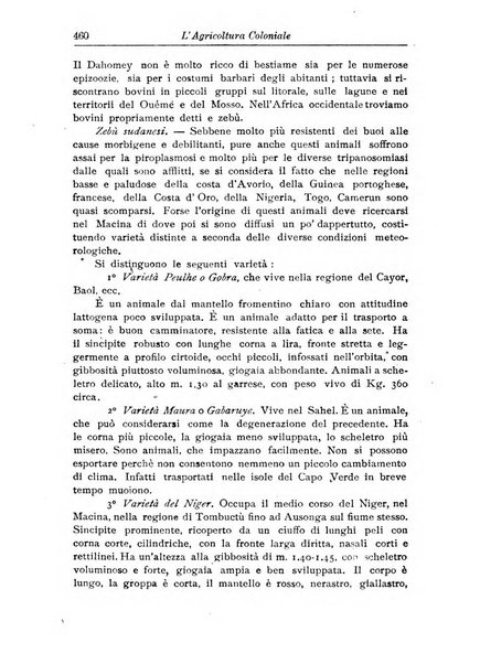 L'agricoltura coloniale organo dell'Istituto agricolo coloniale italiano e dell'Ufficio agrario sperimentale dell'Eritrea