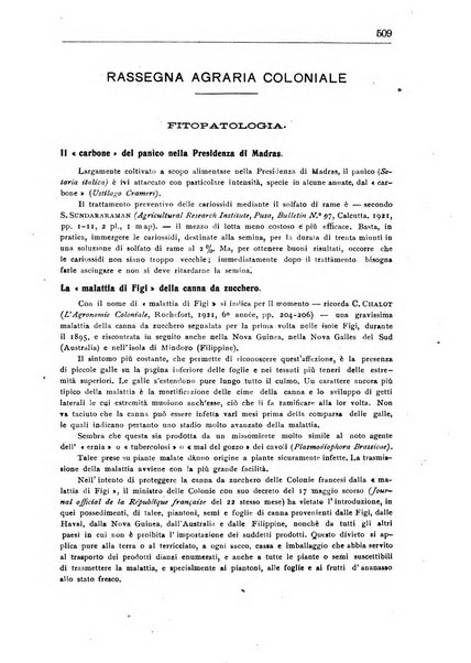 L'agricoltura coloniale organo dell'Istituto agricolo coloniale italiano e dell'Ufficio agrario sperimentale dell'Eritrea