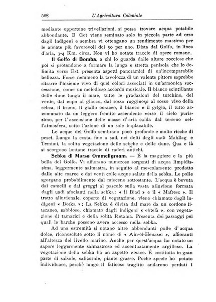 L'agricoltura coloniale organo dell'Istituto agricolo coloniale italiano e dell'Ufficio agrario sperimentale dell'Eritrea