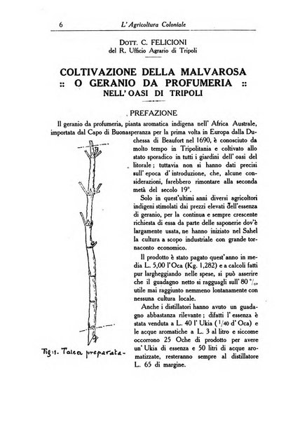 L'agricoltura coloniale organo dell'Istituto agricolo coloniale italiano e dell'Ufficio agrario sperimentale dell'Eritrea