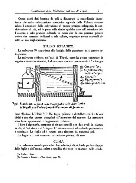 L'agricoltura coloniale organo dell'Istituto agricolo coloniale italiano e dell'Ufficio agrario sperimentale dell'Eritrea