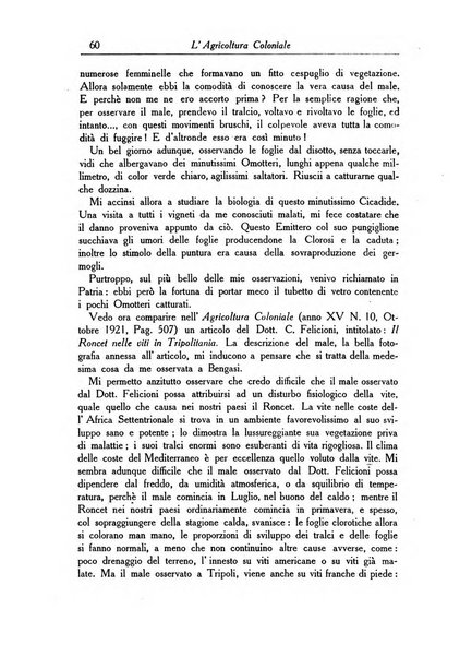 L'agricoltura coloniale organo dell'Istituto agricolo coloniale italiano e dell'Ufficio agrario sperimentale dell'Eritrea