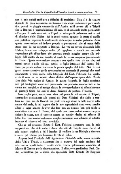 L'agricoltura coloniale organo dell'Istituto agricolo coloniale italiano e dell'Ufficio agrario sperimentale dell'Eritrea