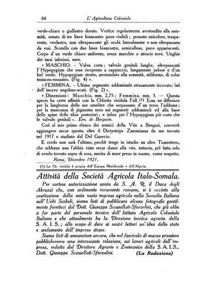 L'agricoltura coloniale organo dell'Istituto agricolo coloniale italiano e dell'Ufficio agrario sperimentale dell'Eritrea