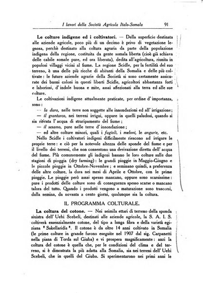 L'agricoltura coloniale organo dell'Istituto agricolo coloniale italiano e dell'Ufficio agrario sperimentale dell'Eritrea