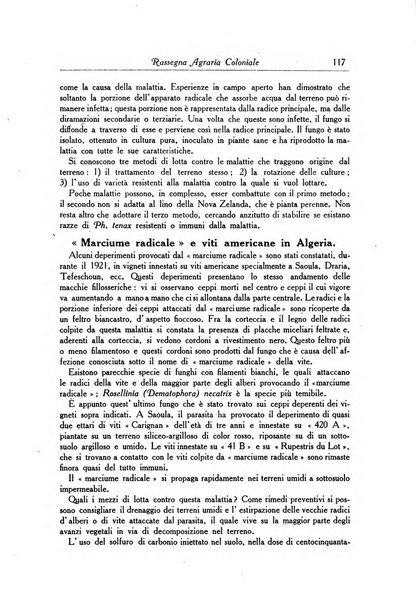 L'agricoltura coloniale organo dell'Istituto agricolo coloniale italiano e dell'Ufficio agrario sperimentale dell'Eritrea