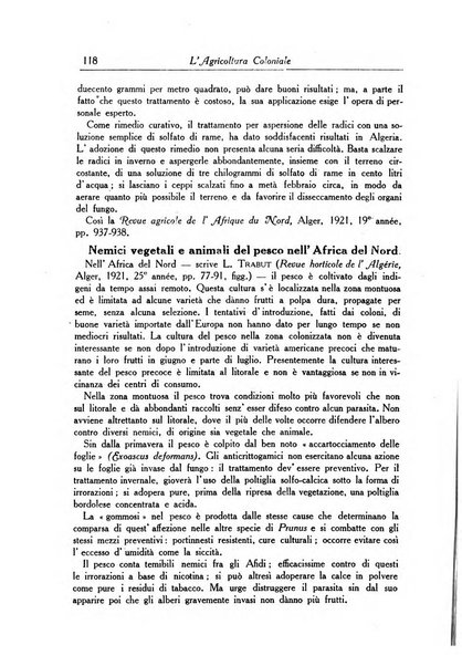 L'agricoltura coloniale organo dell'Istituto agricolo coloniale italiano e dell'Ufficio agrario sperimentale dell'Eritrea