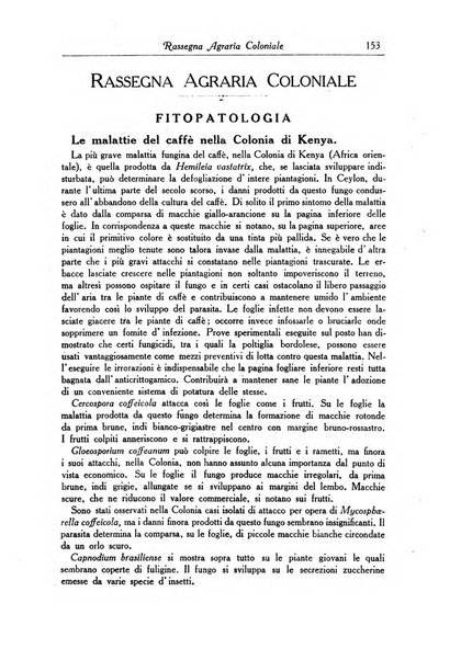 L'agricoltura coloniale organo dell'Istituto agricolo coloniale italiano e dell'Ufficio agrario sperimentale dell'Eritrea