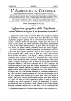 giornale/TO00199161/1922/unico/00000211