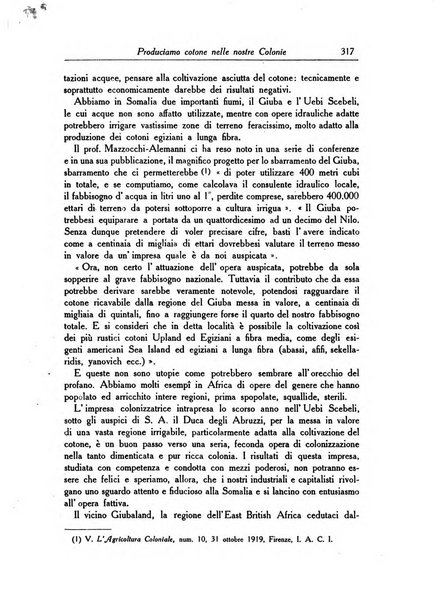 L'agricoltura coloniale organo dell'Istituto agricolo coloniale italiano e dell'Ufficio agrario sperimentale dell'Eritrea