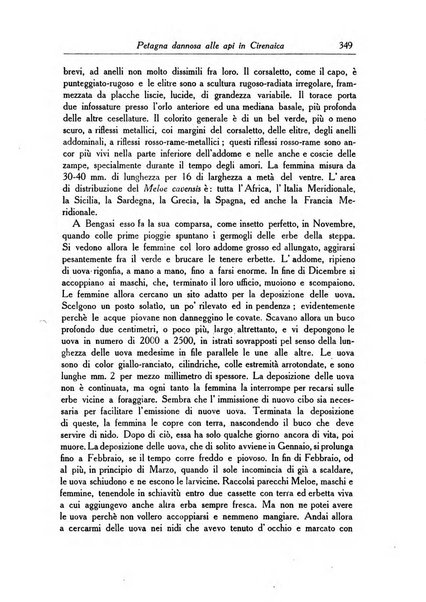 L'agricoltura coloniale organo dell'Istituto agricolo coloniale italiano e dell'Ufficio agrario sperimentale dell'Eritrea