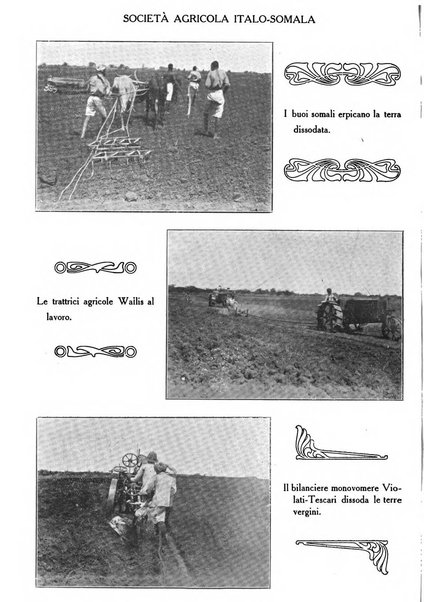 L'agricoltura coloniale organo dell'Istituto agricolo coloniale italiano e dell'Ufficio agrario sperimentale dell'Eritrea