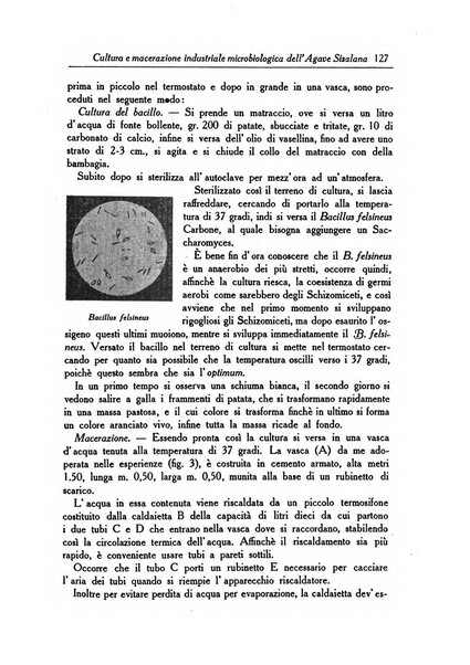 L'agricoltura coloniale organo dell'Istituto agricolo coloniale italiano e dell'Ufficio agrario sperimentale dell'Eritrea