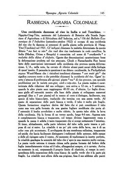 L'agricoltura coloniale organo dell'Istituto agricolo coloniale italiano e dell'Ufficio agrario sperimentale dell'Eritrea