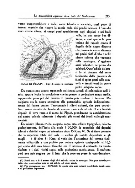 L'agricoltura coloniale organo dell'Istituto agricolo coloniale italiano e dell'Ufficio agrario sperimentale dell'Eritrea