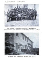giornale/TO00199161/1923/unico/00000357